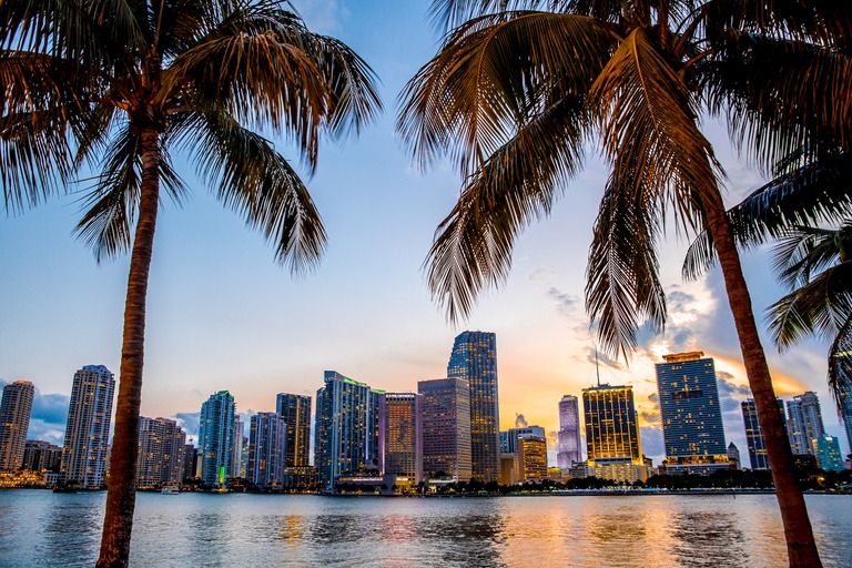 Palmen rahmen die Skyline von Downtown Miami über der Biscayne Bay bei Sonnenuntergang
